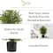 2ft. Unlit Norfolk Island Pine Artificial Potted Christmas Tree